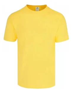 Playera 100% Algodon Para Niños Y Juvenil Varios Colores -Vestidoux Soldes Magasin D NQ NP 776879 MLM50655454472 072022 O