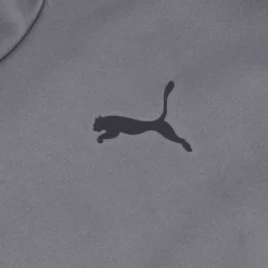 Sudadera Puma Fitness Train All Day Pwrfleece Hombre Gris -Vestidoux Soldes Magasin D NQ NP 876644 MLM69745389076 062023 O