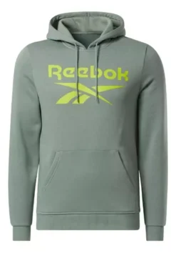 Sudadera Reebok Ri Flc Big Logo Hood 4807 - 1105226 -Vestidoux Soldes Magasin D NQ NP 979546 MLM69785642432 062023 O